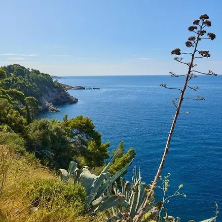 Apartment The Peacock In